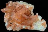 Natural Red Quartz Crystals - Morocco #51551-1